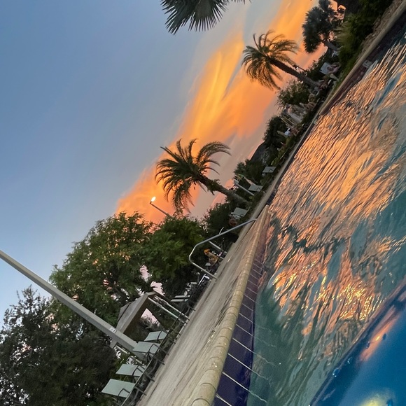 Meet your Posher, Jadelyn - Picture 1 of 1